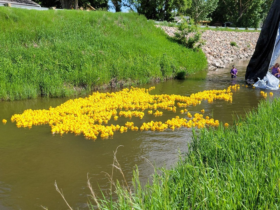 Duck Derby returns to Riverside Park to raise thousands Local news